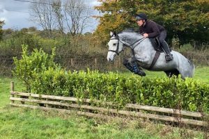 Click image to enlarge