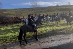 Click image to enlarge