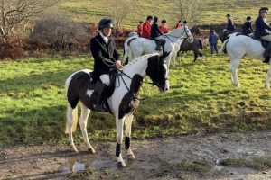 Click image to enlarge