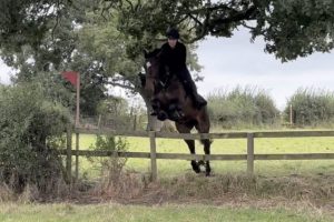 Click image to enlarge