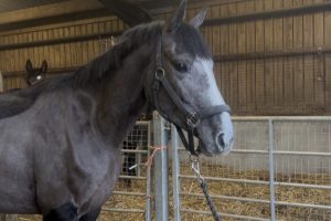 Click image to enlarge