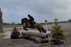 Click image to enlarge