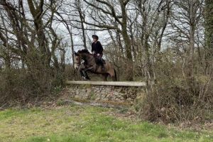 Click image to enlarge